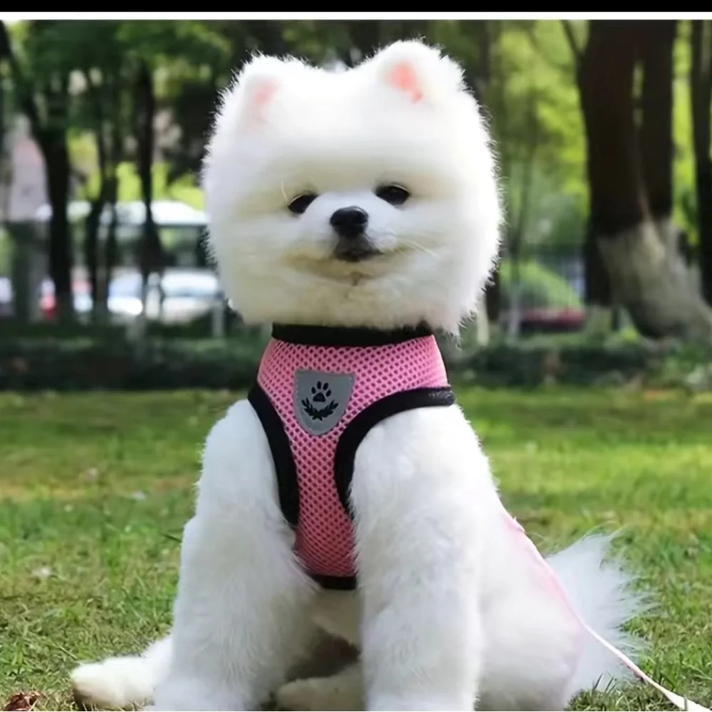 Pink Harness & Leash Set